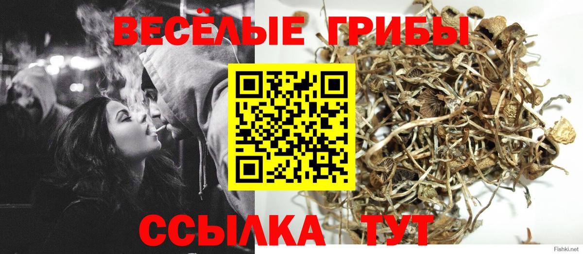Псилоцибиновые грибы прущие грибы  Вход с VPN  Дедовск 